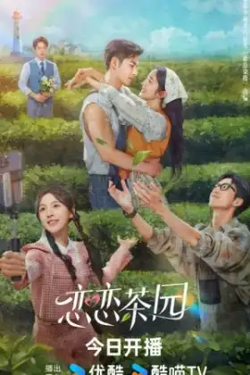 Love in the Tea Garden (2024) รักเกิดในสวนชา