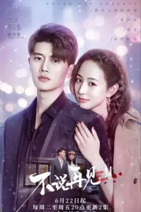 Never Say Goodbye (2021) รักนี้ไม่มีคำว่าลา