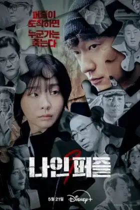 Nine Puzzles (2025)
