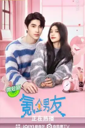 Romantic boyfriend (2024) ตกหลุมรักคุณแฟนเช่า