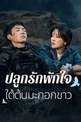 The White Olive Tree (2025) ปลูกรักพักใจ ใต้ต้นมะกอกขาว